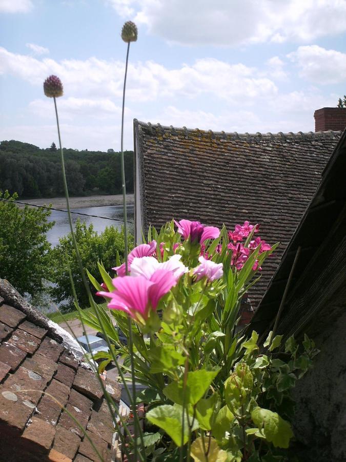 Maison De La Loire La Charite-sur-Loire Exterior photo